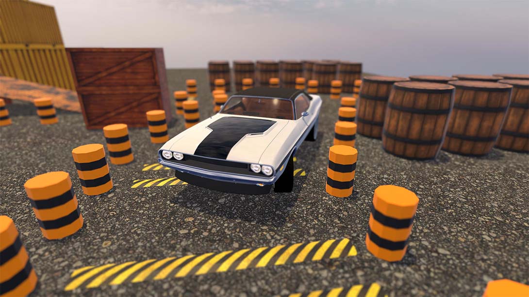 【美版】Car Parking Madness_3