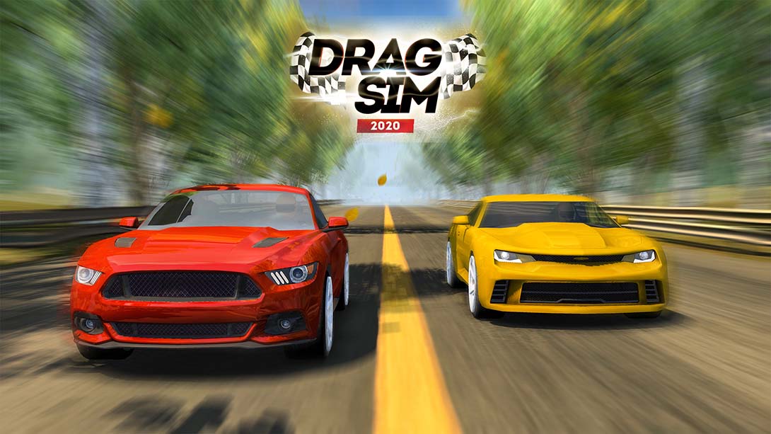 Drag Sim 2020_0