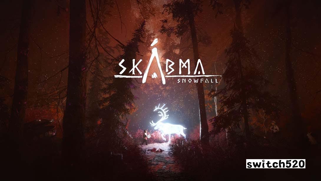 【美版】永夜 雪落 .Skabma - Snowfall_0