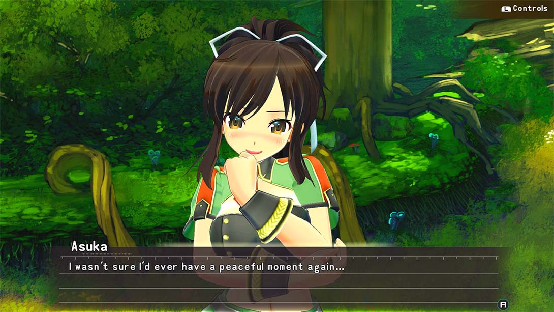 女忍反射:闪乱神乐 SENRAN KAGURA Reflexions_2