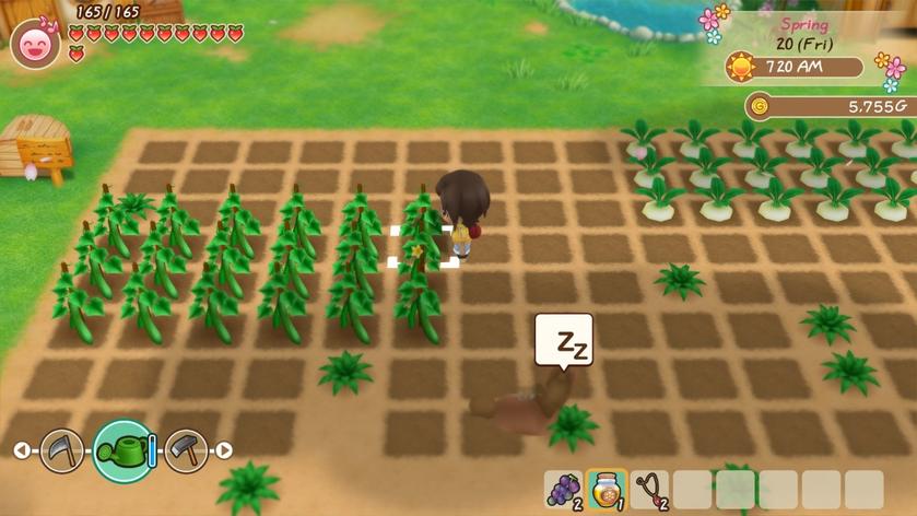 Switch《牧场物语:重聚矿石镇》_7