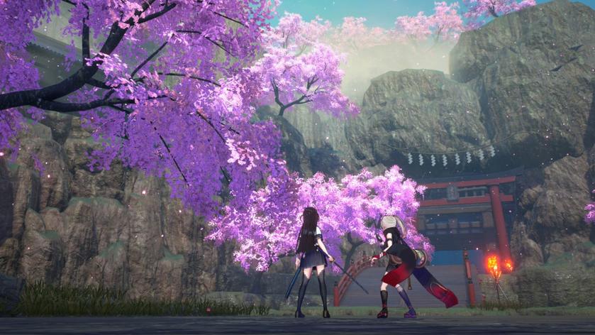 Switch《武士少女》_5