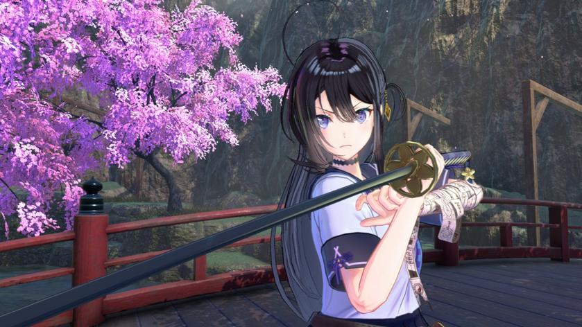 Switch《武士少女》_0
